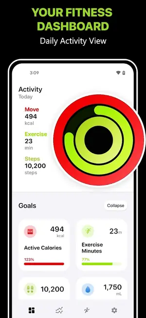 FitnessView activity dashboard